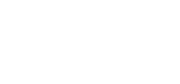 apex_marque - forge
